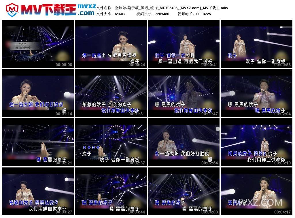 金婷婷-嫂子颂_国语_流行_MD105405